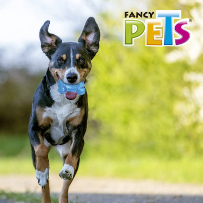 Fancy Pets Prisma Juguete en Forma de Hueso para Perro con Sonido Tamaño Grande
