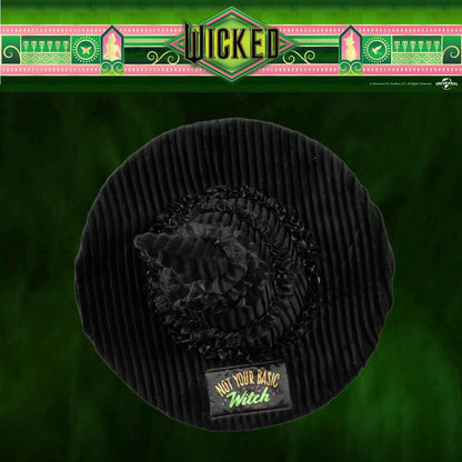 Franco - Cojín Coleccionable de Wicked del Sombrero de Elphaba, Decorativa, Felpa Supersuave, 36 x 23 cm, (Producto con Licencia Oficial)