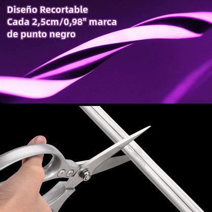 DOSYU Tira Neón Flex LED, 12V 16.4ft/5m Impermeable Flexible Cortable DIY 2835 Luces Led IP65 Decorativa para TV, Cuarto, Halloween, Fiesta de Navidad, con Adaptador(Violeta)