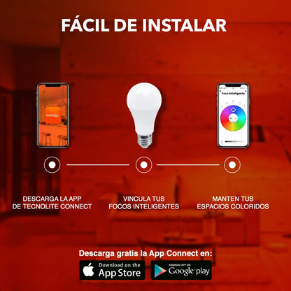 Tecnolite Connect - Pack 1 Foco A19 RGB Inteligente WiFi LED 8 W Base E27, Luz RGB + 1 Bombilla Inteligente Atenuable Compatible con Alexa, Google Assistant, Siri y App Móvil. Iluminación Interior