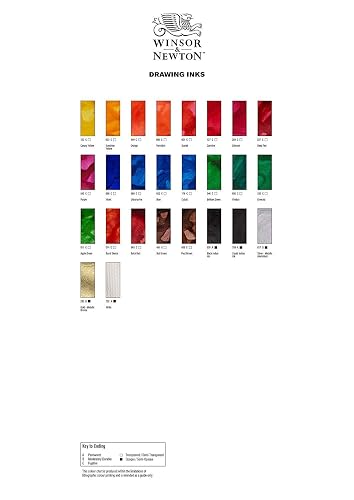 Winsor & Newton Drawing Ink Tinta de Dibujo de Secado Rápido, Negro (Black), 30 ml