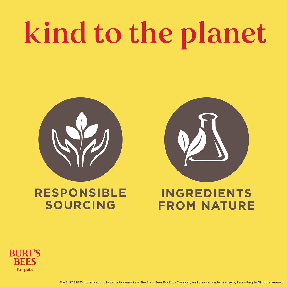 Burt’s Bees Dander Reducing Grooming Wipes for Cats, 50 Wipes