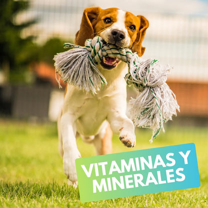 Fancy Pets MS Immune Tabletas Masticables para Perros – Suplemento con Antioxidantes, Apoya el Sistema Inmune, 60 Tabletas