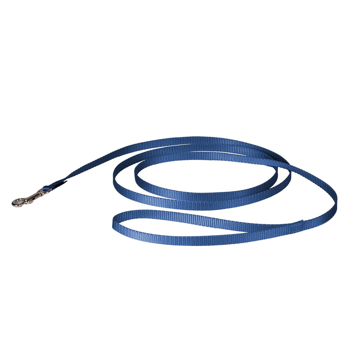 PetSafe Correa de Nylon para Perro - Azul rey - 3 - 8" x 6 Foots