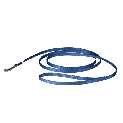 PetSafe Correa de Nylon para Perro - Azul rey - 3 - 8" x 6 Foots