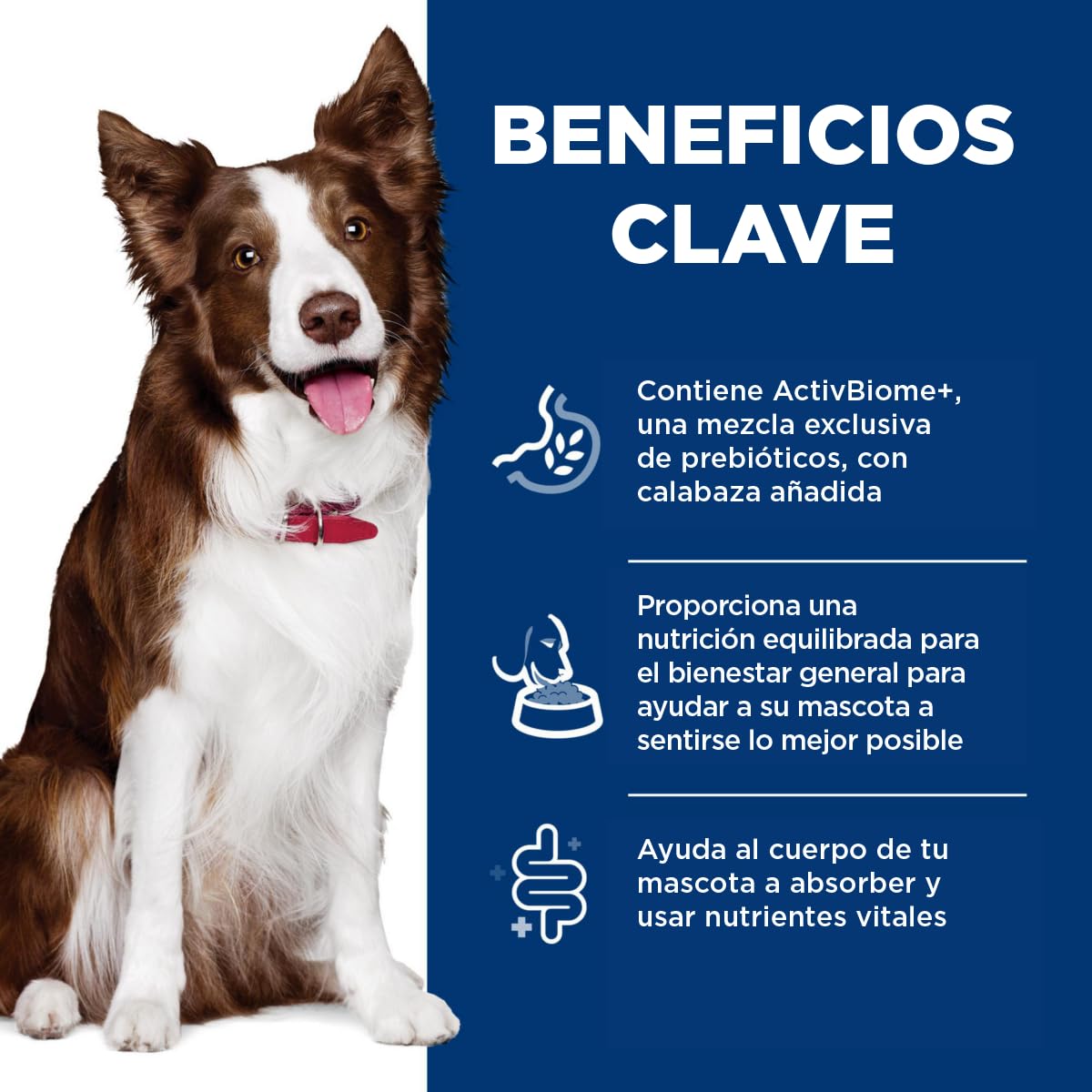 Hill's Science Diet Alimento Húmedo Digestivo para Perro Adulto 12Pack 363G | Alimento húmedo Hill's para perro, cuidado digestivo, bienestar del microbioma, heces firmes, ingredientes de alta calidad