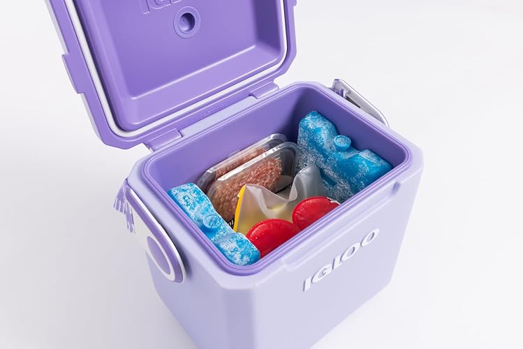 Igloo Maxcold Ice Blocks, Long Lasting Cold Freezer Ice Packs