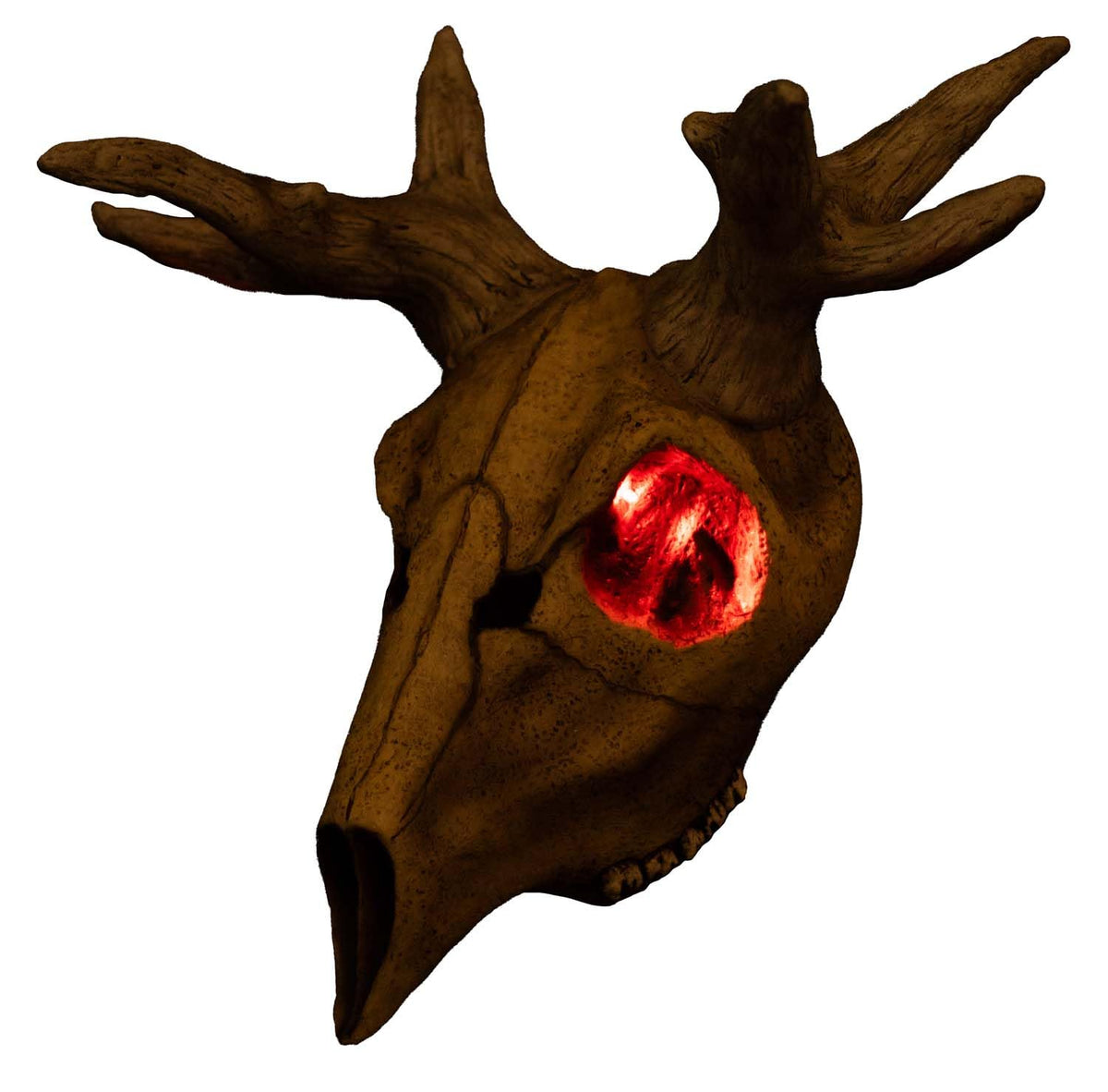 Ghoulish Productions Decoración de látex Deer Skull LED. Decoración de Venado para Halloween. Cuernos de Venado Decoración Halloween. Ideal para Usar en Fiestas de Halloween, casa embrujada, bromas