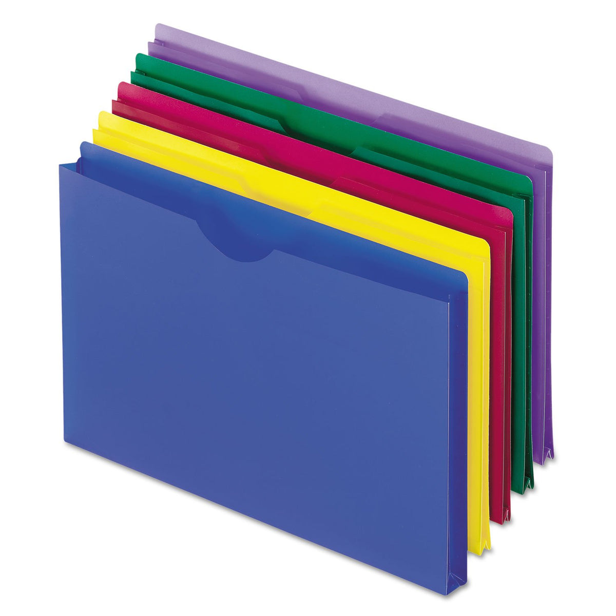 Pendaflex Chaquetas de poliéster translúcidas, tamaño legal, colores surtidos, 5 unidades (50993)