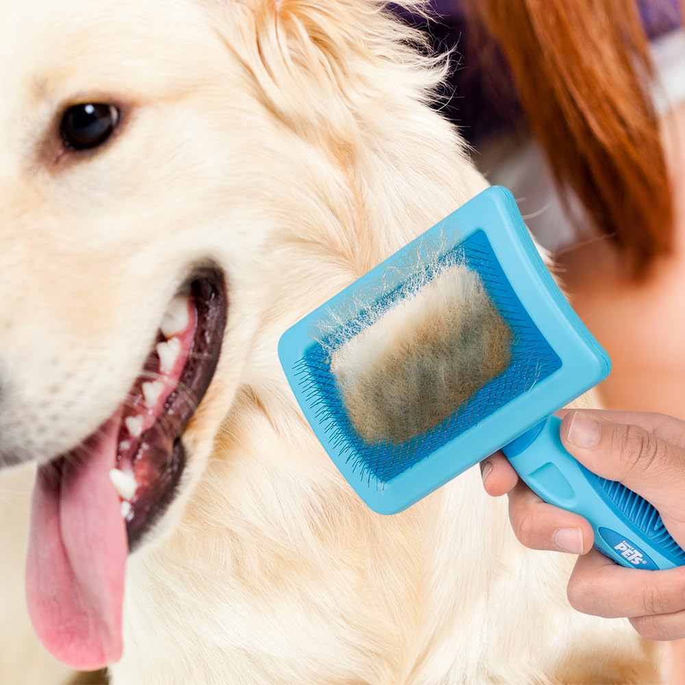 Fancy Pets Carda XGDE para Perros de Pelaje Medio y Largo, Cepillo Profesional para Desenredar y Mantener el Manto Saludable