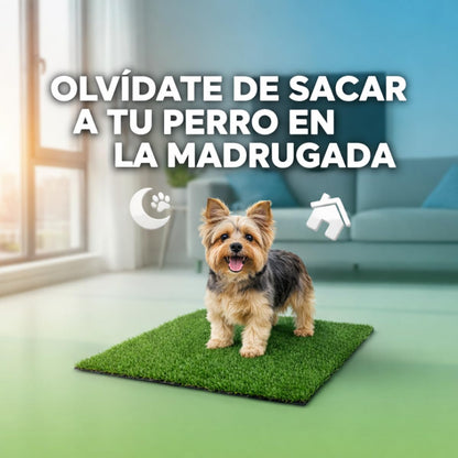 Fancy Pets Repuesto de Pasto para Doggie Grass XCH, Tapete Antimicrobiano para Perros, Fácil Limpieza y Resistente