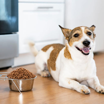 Perfect Sense Alimento Natural para Perros Adultos de Raza Pequeña 1.5 kg – Nutrición con YUCCA y Omega 3
