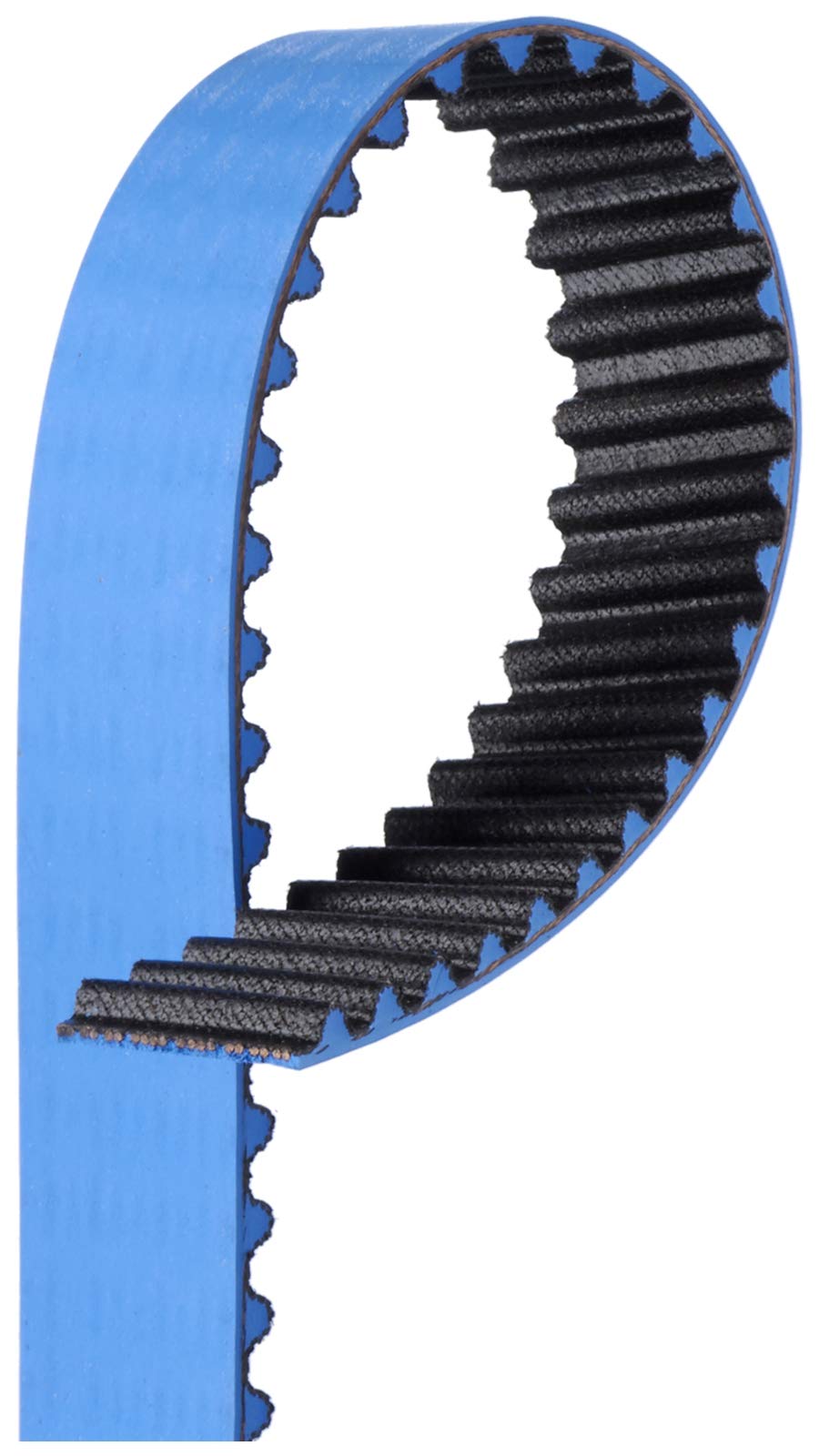 Gates T306RB Cinturón | Sustituye a TB306 06B109119A 06B109119B 06B109119F 026-1036 94777 95306 95306FN B306 T306 40306 TB908 250306 CD-4444444