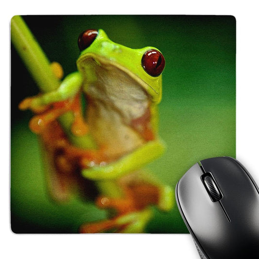 3dRose 8 x 8 x 0.25 Inches Mouse Pad, Green Tree Frog on a Twig (mp_10387_1)