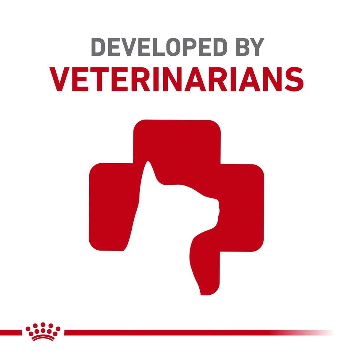 ROYAL CANIN Alimento Seco para Gato Adulto Control Bolas de Pelo, 2.7 kg