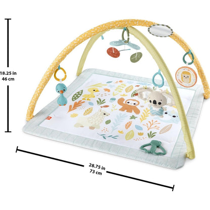 Fisher-Price Baby Gimnasio para Bebés Primeros Sentidos para bebés de Recién Nacidos en adelante