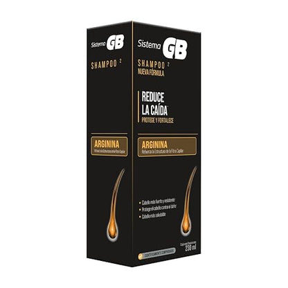 SISTEMA GB Shampoo 2 Hombre, Con Piritionina de Zinc y Climbazol que refuerzan la acción anticaída y cuidan el cuero cabelludo donde nace el pelo, Frasco con 230ml