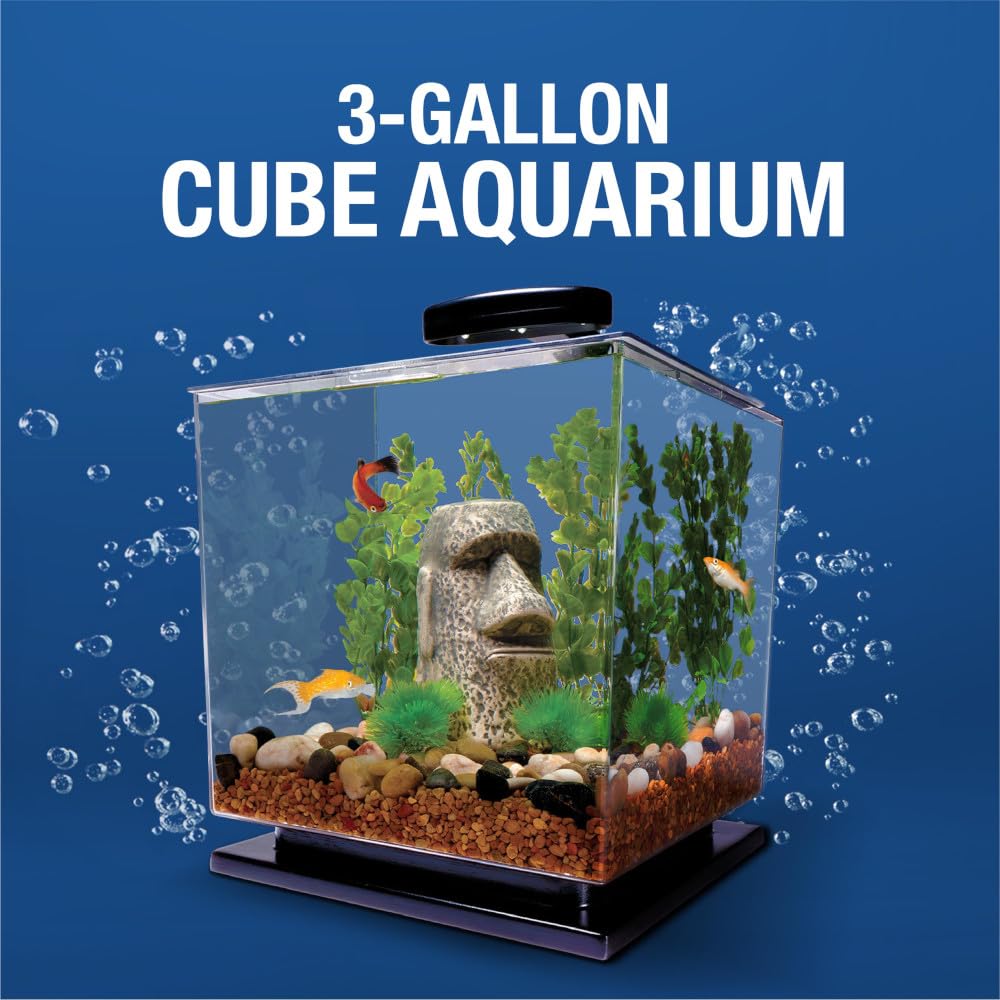 Tetra 29095 Cube Aquarium Kit, 3-Gallon