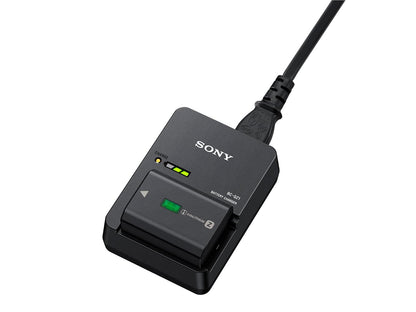 Sony BC-QZ1//C E33 Cargador de Batería para Np-Fz100