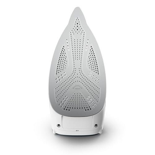 Rowenta - Vaporizador de Hierro para Ropa, Suela de Acero Inoxidable, 400 Agujeros de microvapor, Potente Plancha de Vapor, Ligero, a Prueba de Fugas, 1725 vatios