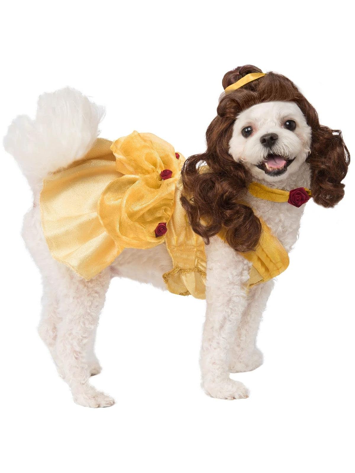 Rubie's Disney: Disfraz de princesa para mascota, cinturón, tamaño mediano