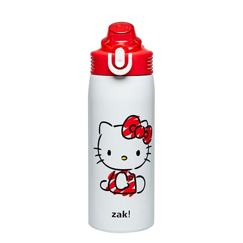 Zak Designs Sanrio Sage - Botella de agua para niños para escuela o viajes, botella de agua de acero inoxidable de 19 onzas con popote, mango y a prueba de fugas, cubierta de boquilla desplegable