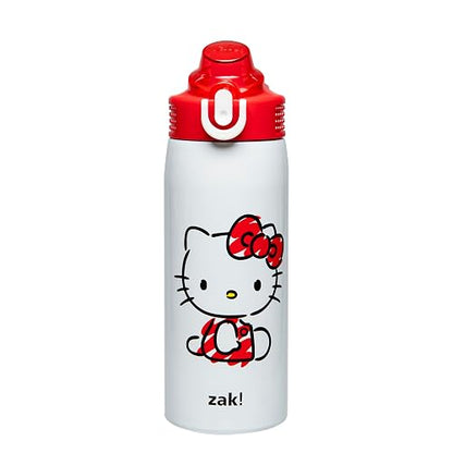 Zak Designs Sanrio Sage - Botella de agua para niños para escuela o viajes, botella de agua de acero inoxidable de 19 onzas con popote, mango y a prueba de fugas, cubierta de boquilla desplegable