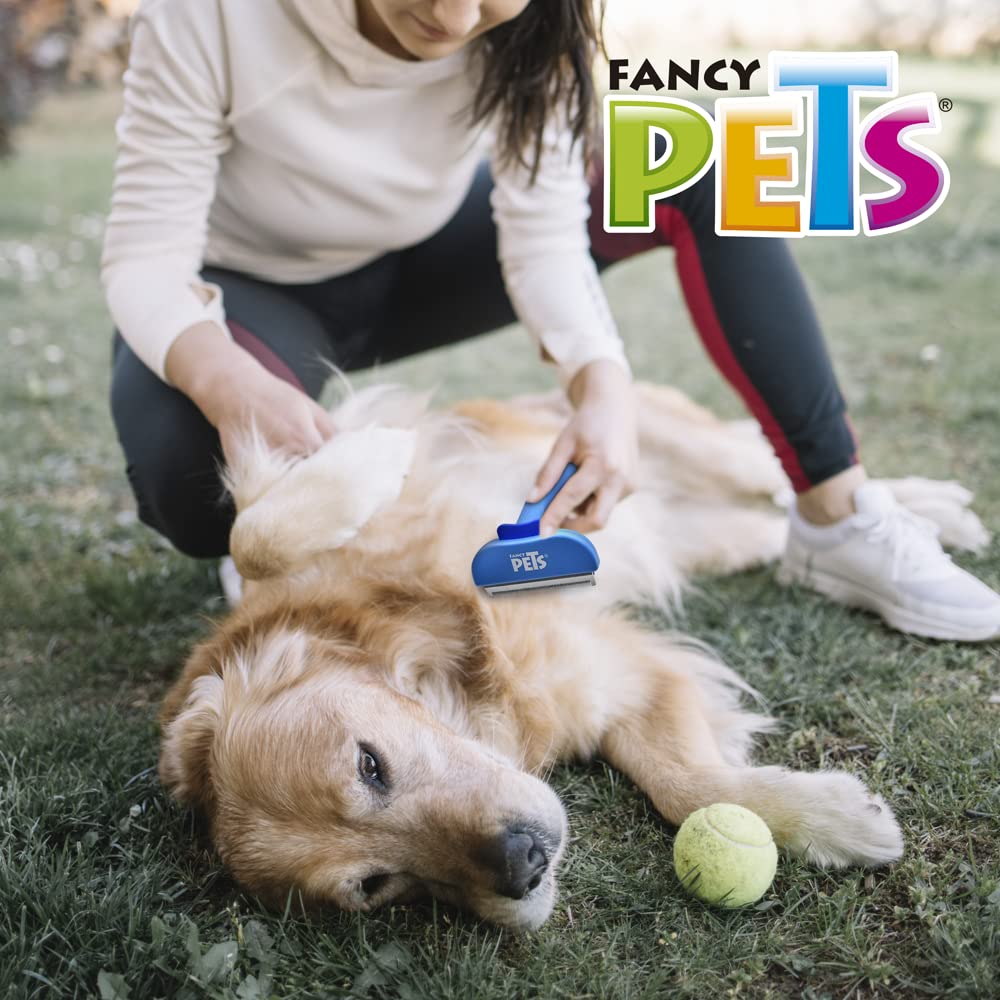 Fancy Pets Deslanador Recto Fijo CH para Perros y Gatos Removedor de Pelo Muerto y Suelto