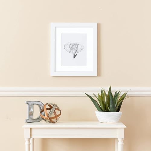 ArtToFrames 6x11 Inch Satin White Frame Picture Frame, 2WOMFRBW26074-6x11