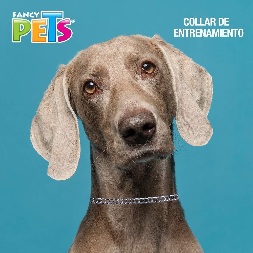 Fancy Pets Collar de Entrenamiento para Perro de Tamaño 4.0 mm/65 cm de Largo