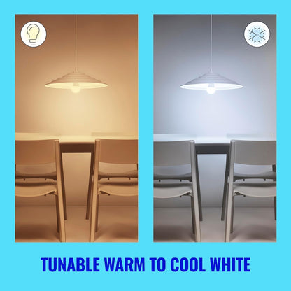 WiZ Foco Inteligente A19 8.8W luz cálida a fría dimeable controlable por WiFi