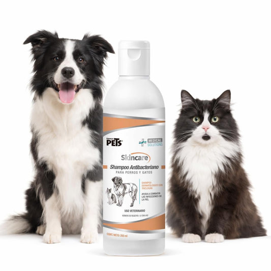 Fancy Pets Medical Solutions Skincare Shampoo para Perro y/o Gato con Problemas en la Piel por Microorganismos con 250 Mililítros