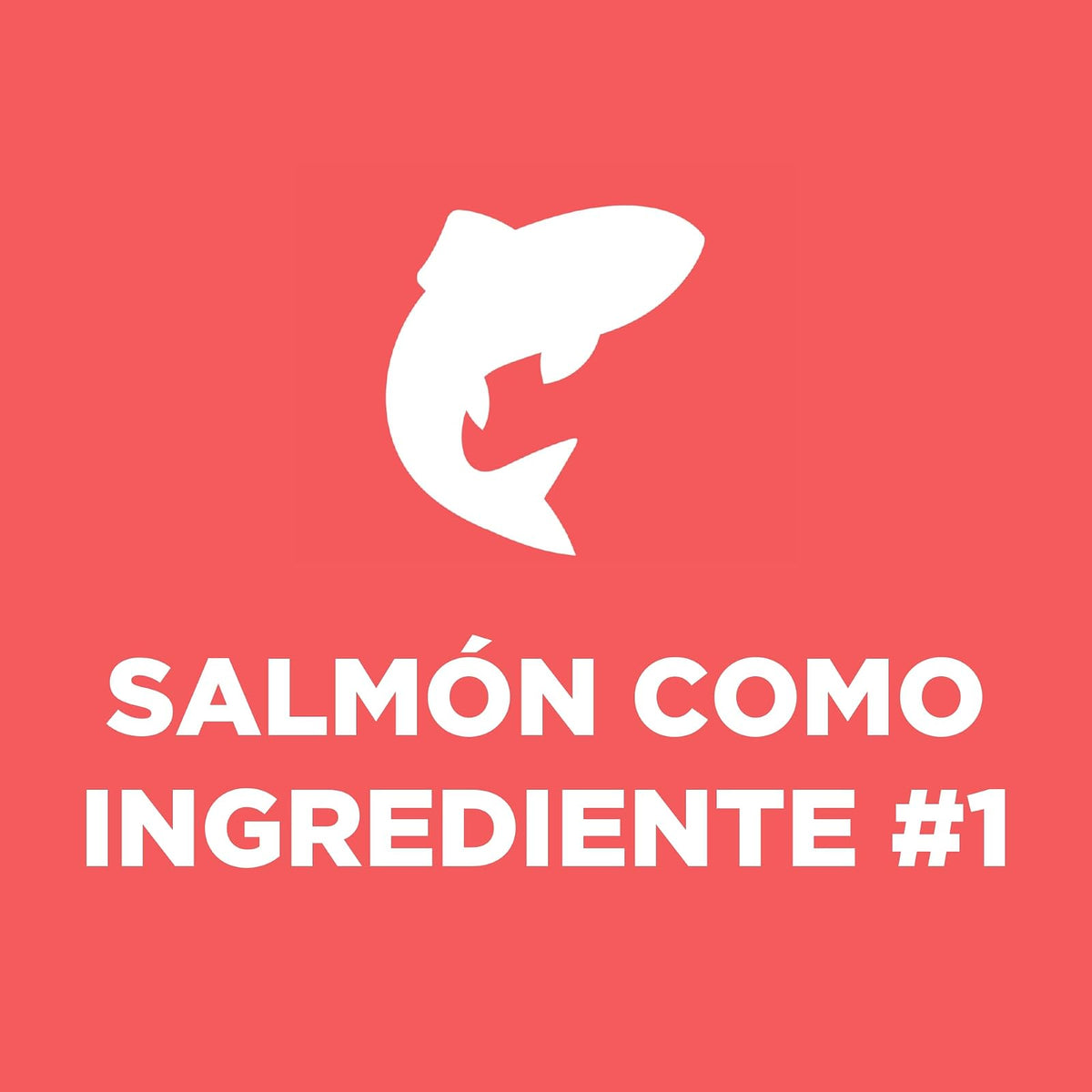 Hill's Science Diet Croquetas para Perro Adulto Sabor Salmón 2Kg | Croquetas Hill's para perro, salmón real, digestión saludable, sistema inmunológico fuerte, omega-6 y vitamina E