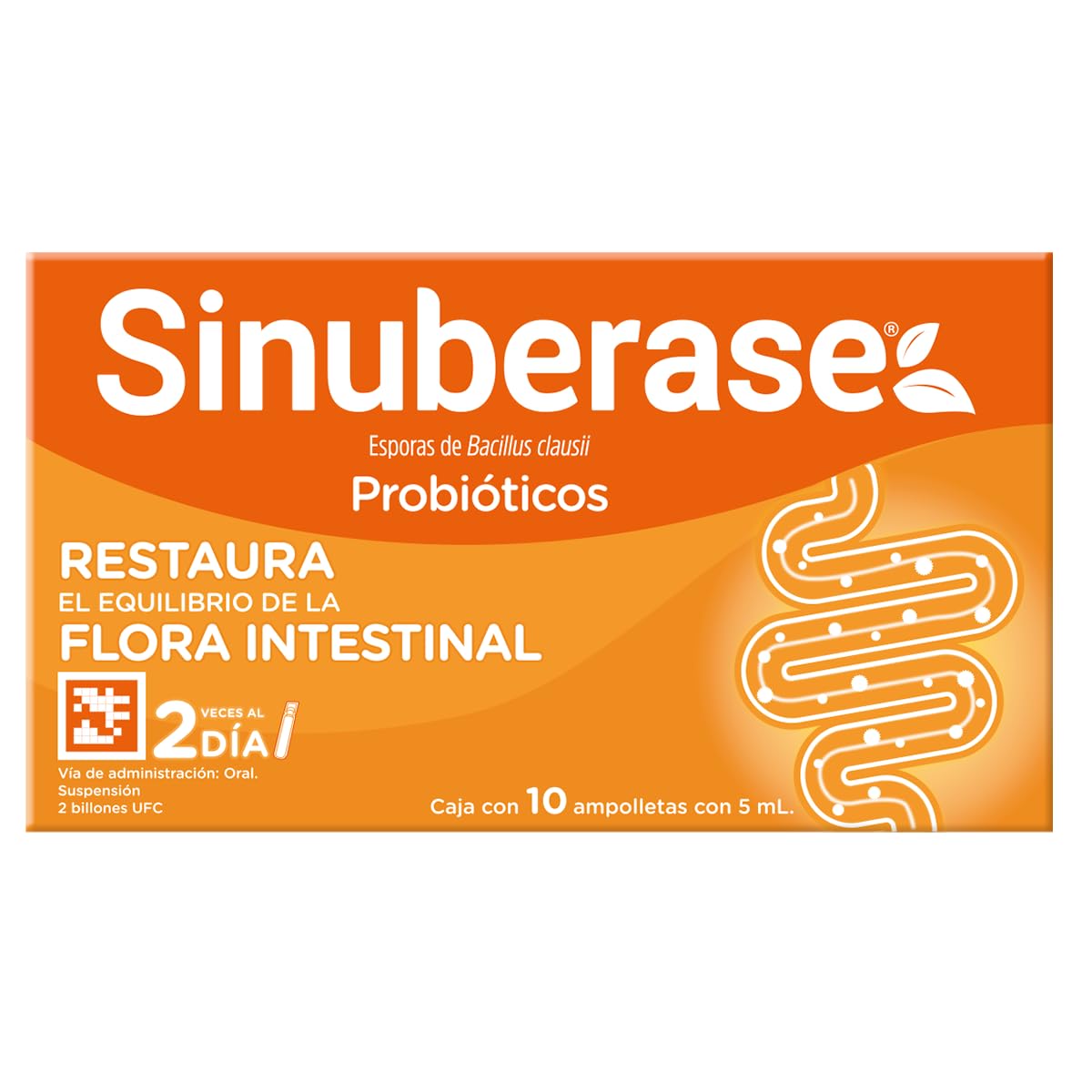 Sinuberase Probióticos en Suspensión 2 Billones de UFC 10 Ampolletas. Restaura el Equilibrio de la Flora Intestinal Alterado por Diarrea o Uso de Antiobióticos