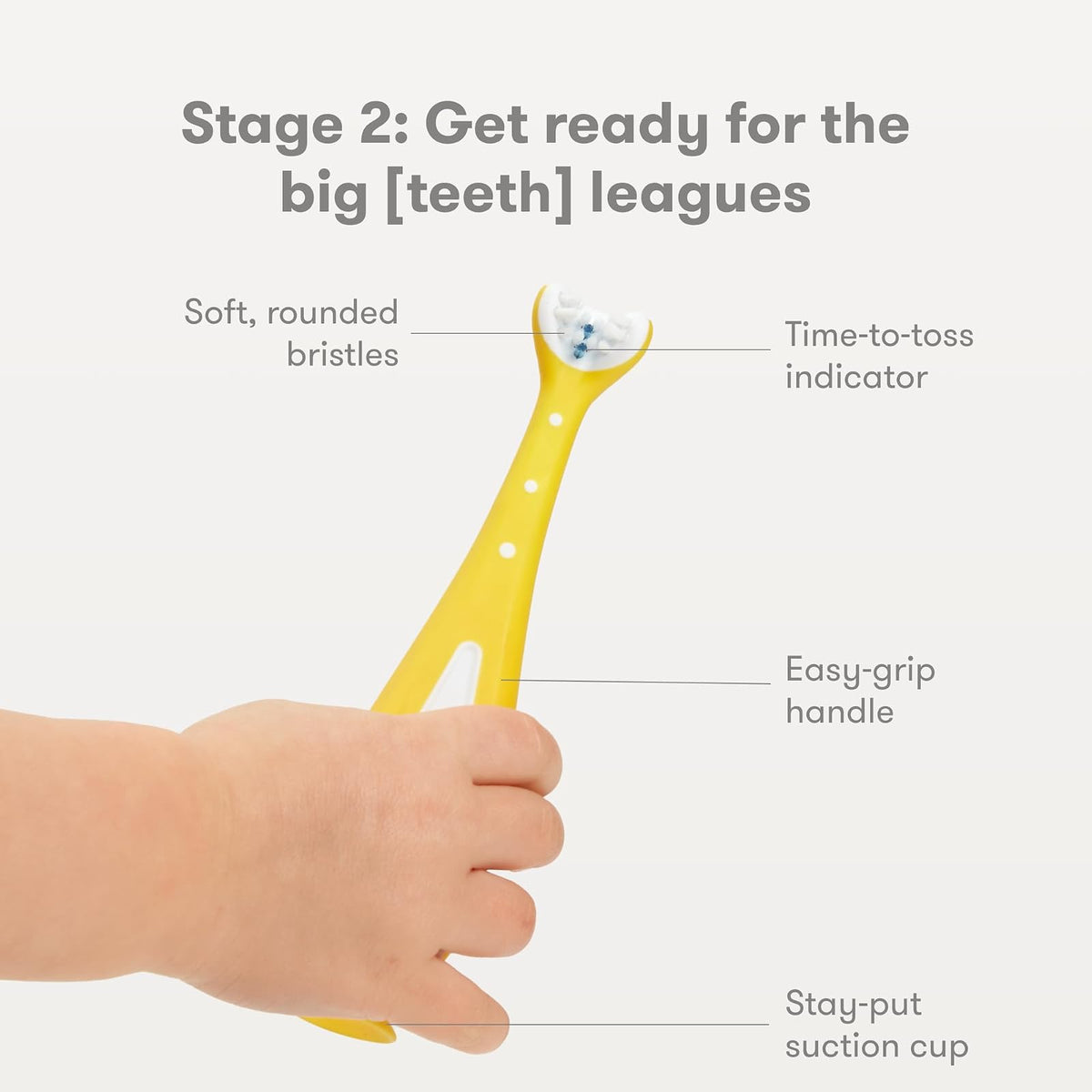 Frida Baby| Juego de Cepillos de Dientes| Entrenamiento Crecer Conmigo| Bebés y Niños, 1 unidad, 1