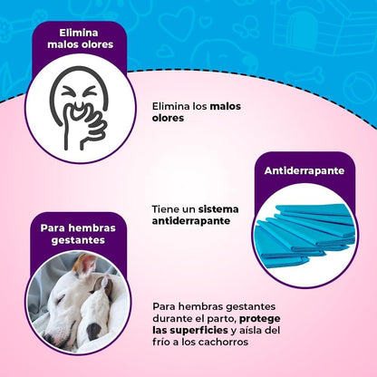 Fancy Pets Tapete Entrenador para Perros Soft Pad, 50 Pzas, Súper Absorbente, con Atrayente y Antiderrapante, Protección de Pisos y Entrenamiento
