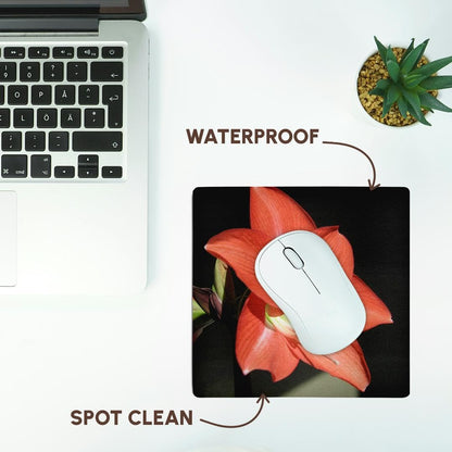 3dRose 8 x 8 x 0.25 Inches Flowers Amaryllis Mouse Pad (mp_21369_1)