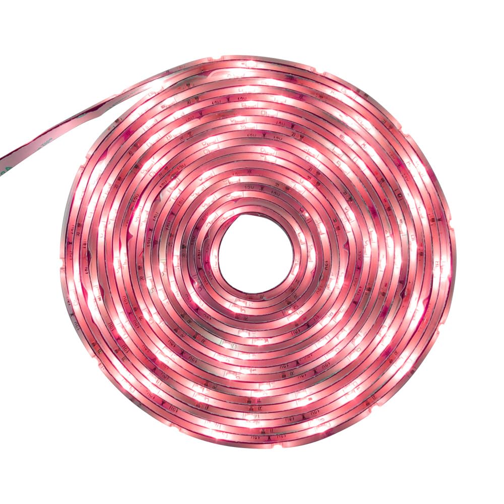 Tecnolite - Tira LED 5 Metros 12 W Luz Roja, Interiores, Plug and Play, No atenuable, Recortable
