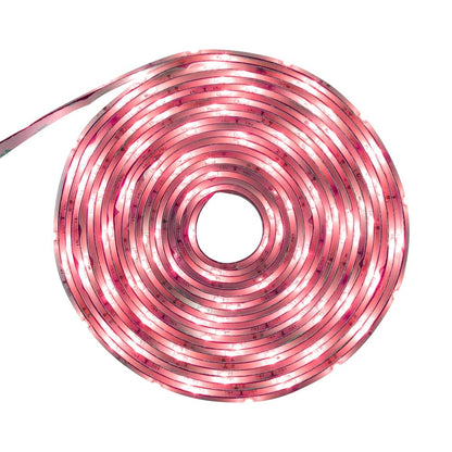 Tecnolite - Tira LED 5 Metros 12 W Luz Roja, Interiores, Plug and Play, No atenuable, Recortable