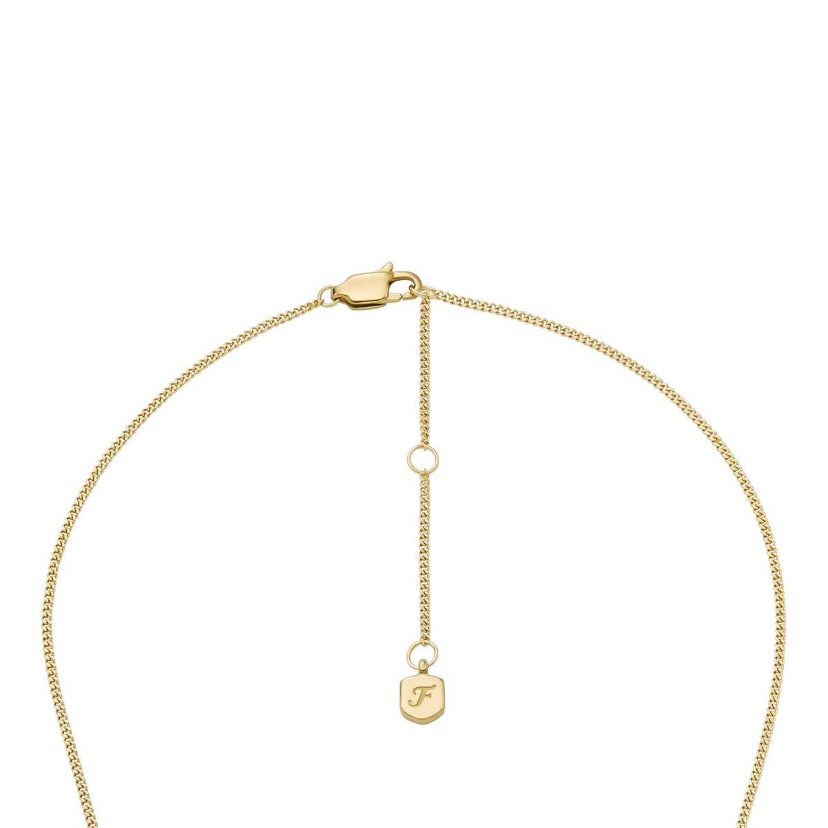 Collar Fossil Raquel JF04951710 de acero inoxidable de color dorado para dama