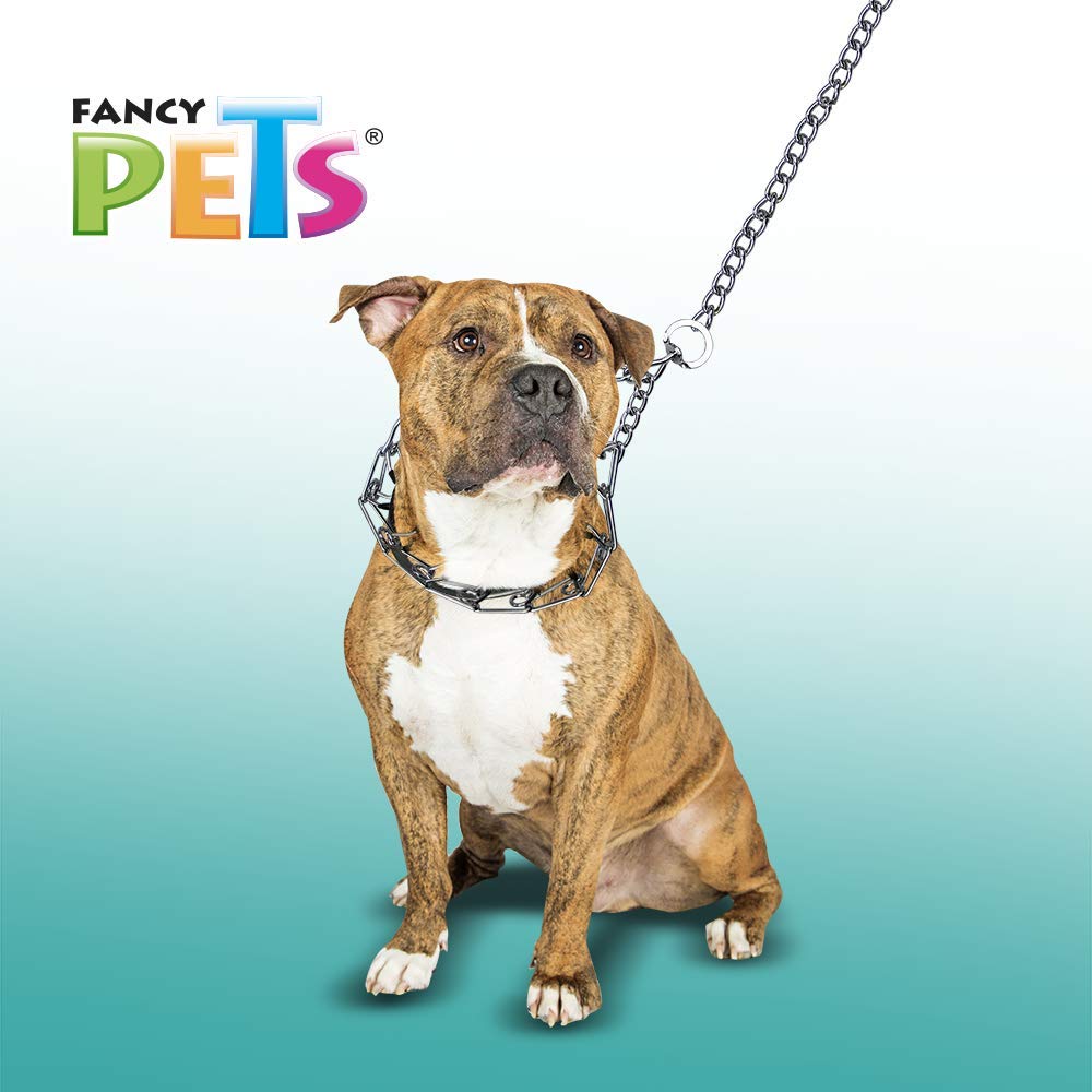 Fancy Pets Collar de Entrenamiento con Púas de Acero Cromado 4 mm 60 cm para Perros Medianos y Grandes