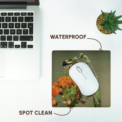 3dRose 8 X 8 X 0.25 Inches Praying Mantis insect, Butterfly Prey, Texas Rolf Nussbaumer Mouse Pad (mp_84332_1)