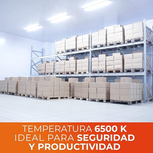 Tecnolite - Paquete de 10 Focos LED A19 8.5 Watts, 800 Lumens, 6500 K Luz de Día, Ahorrador de Energía, Base E27, No atenuables