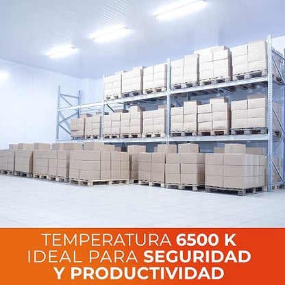 Tecnolite - Paquete de 10 Focos LED A19 8.5 Watts, 800 Lumens, 6500 K Luz de Día, Ahorrador de Energía, Base E27, No atenuables