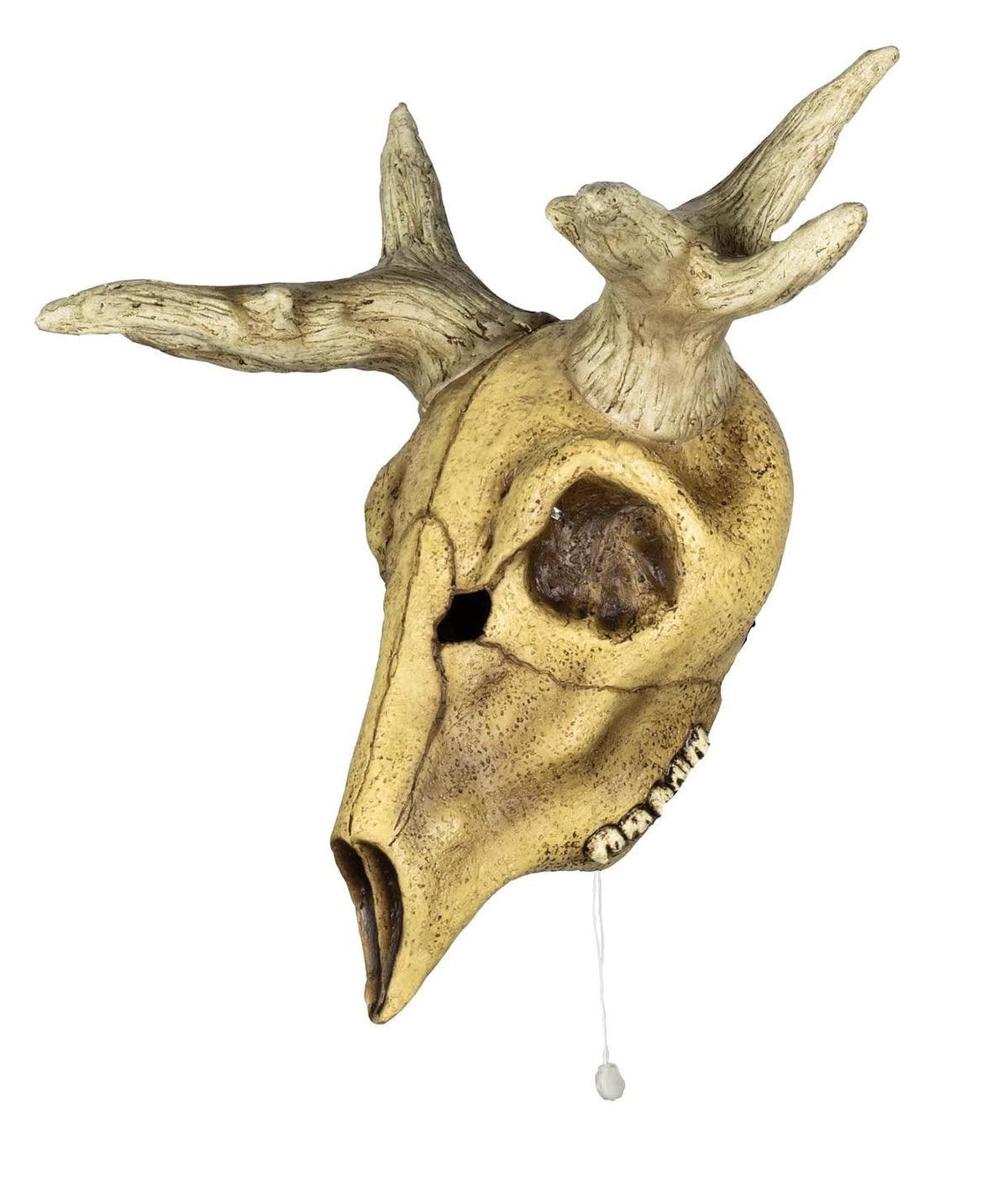 Ghoulish Productions Decoración de látex Deer Skull LED. Decoración de Venado para Halloween. Cuernos de Venado Decoración Halloween. Ideal para Usar en Fiestas de Halloween, casa embrujada, bromas