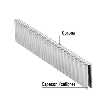 Truper GRANEU-1/4-25, Grapas para engrapadora neumática ENEU-1/4, 25mm, 5, 000 pzas