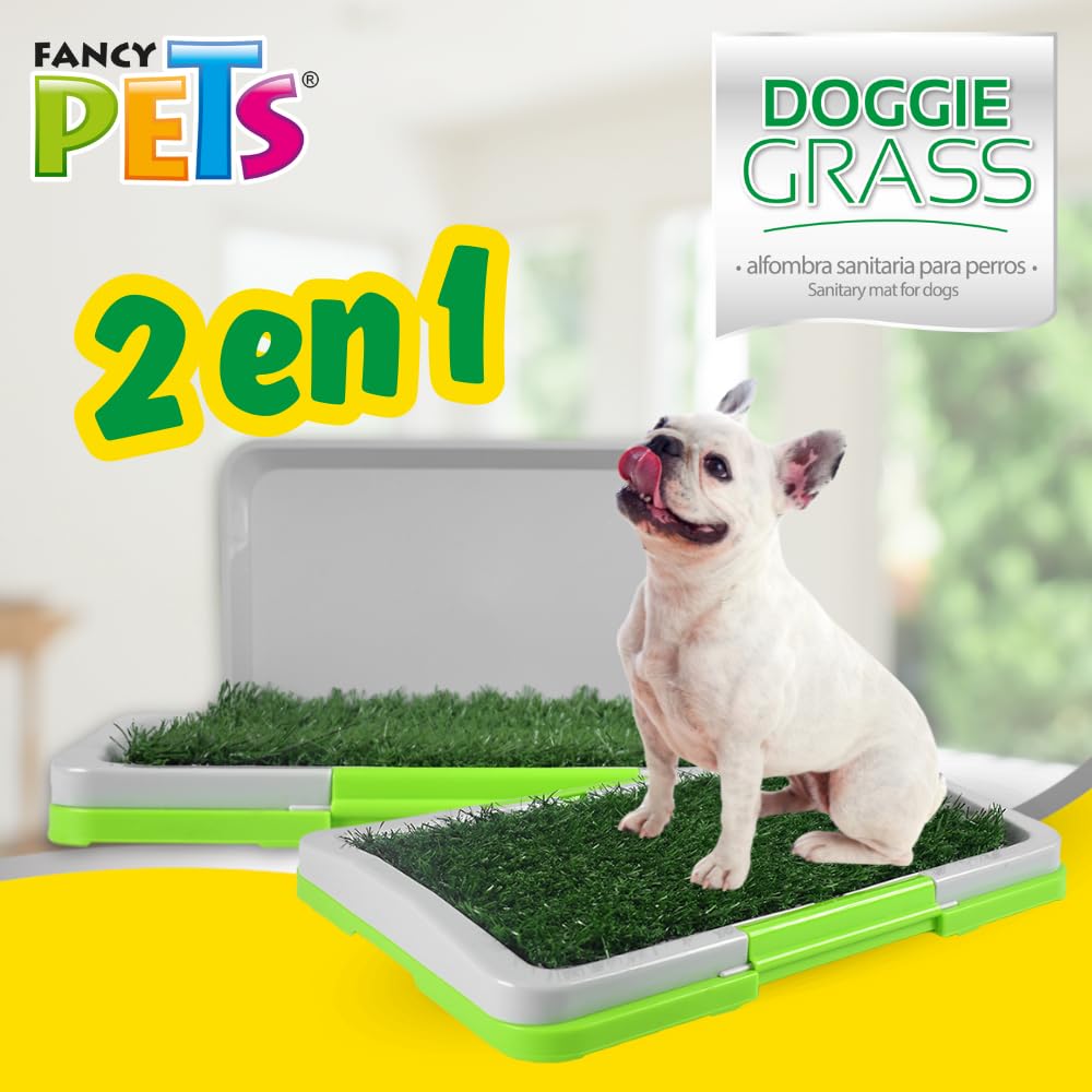 Fancy Pets Tapete Entrenador Doggie Grass para Perros Machos de Tamaño Mini
