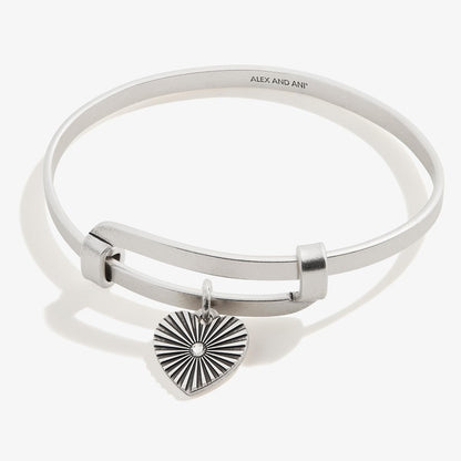 Alex and Ani Motivation Charm Bangles