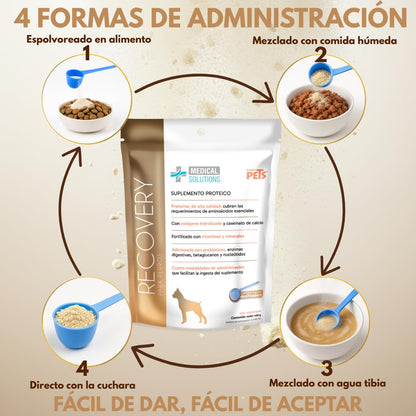 Fancy Pets MS Recovery Suplemento de Proteína para Perros 400 g Suplemento Nutricional con Colágeno y Vitaminas para Apoyo Muscular y Vitalidad