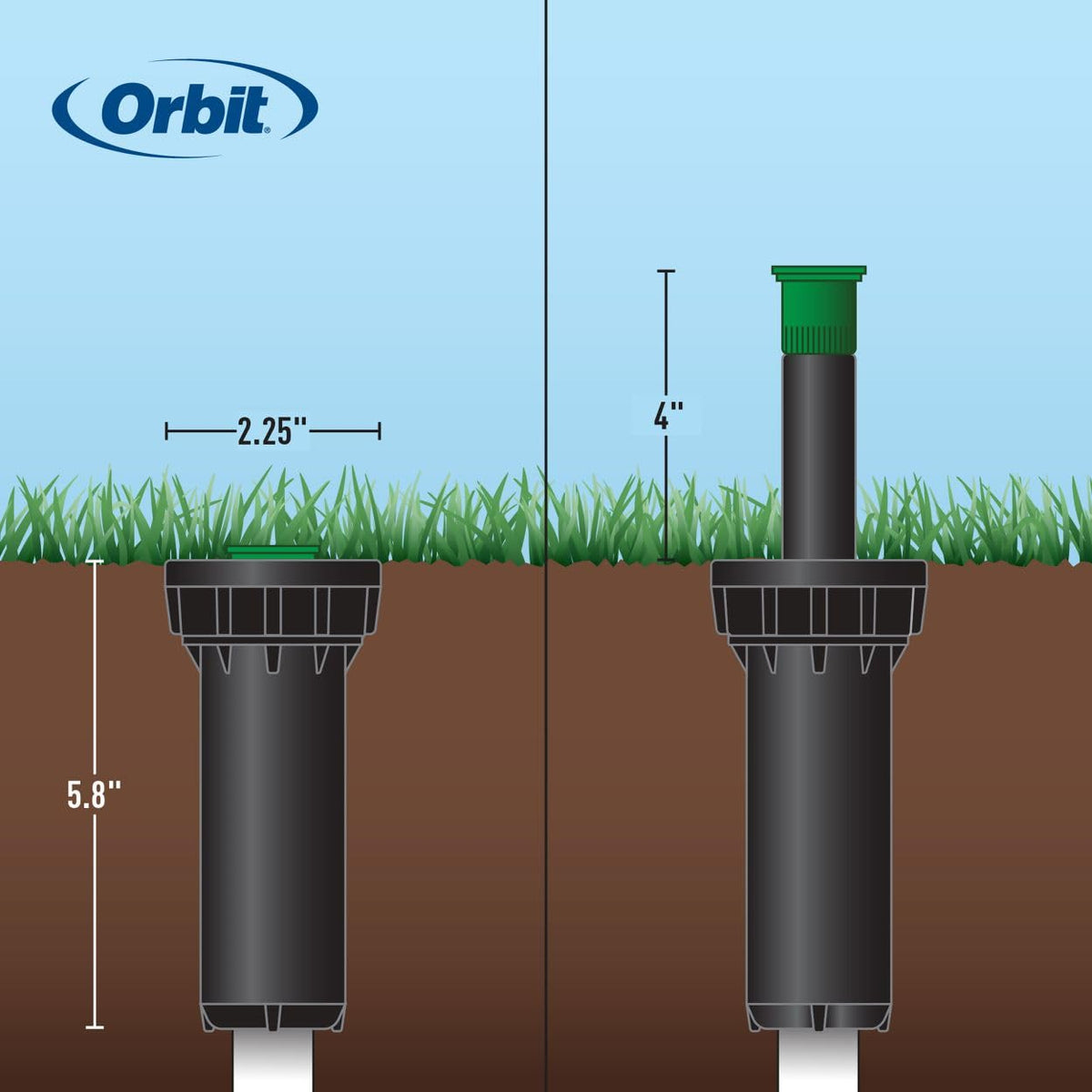 Orbit - Aspersor de Cabezal de pulverización Profesional de 54505-4 Pulgadas con Boquilla de patrón de Tira Central